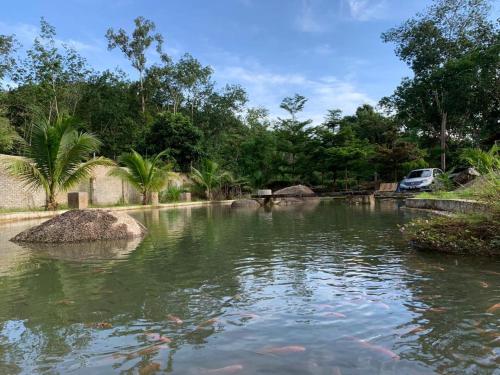 Resort Rockforest Chalet