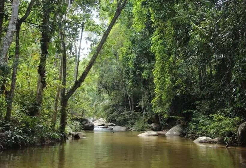 リゾートホテル Rockforest Chalet