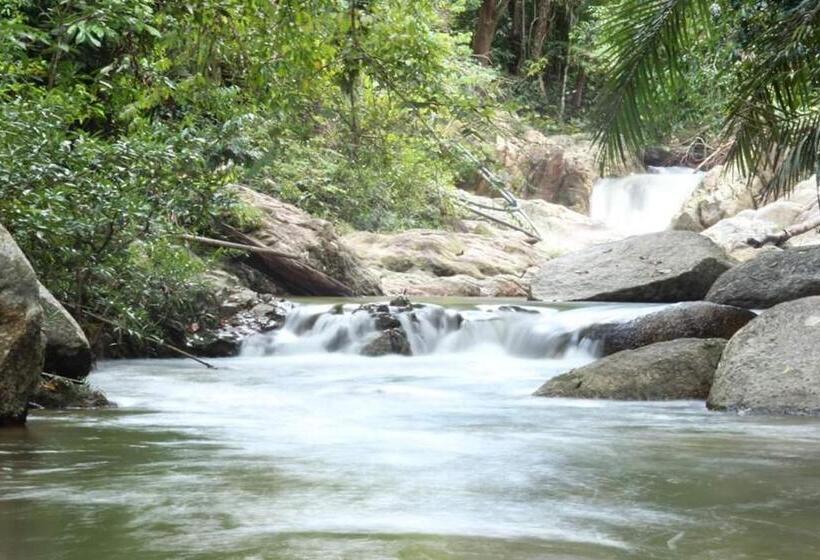 Resort Rockforest Chalet