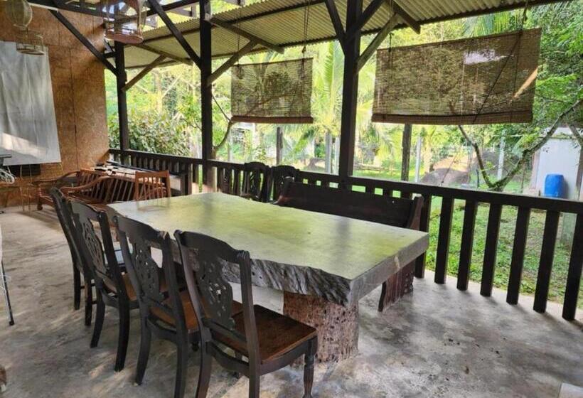 Resort Rockforest Chalet