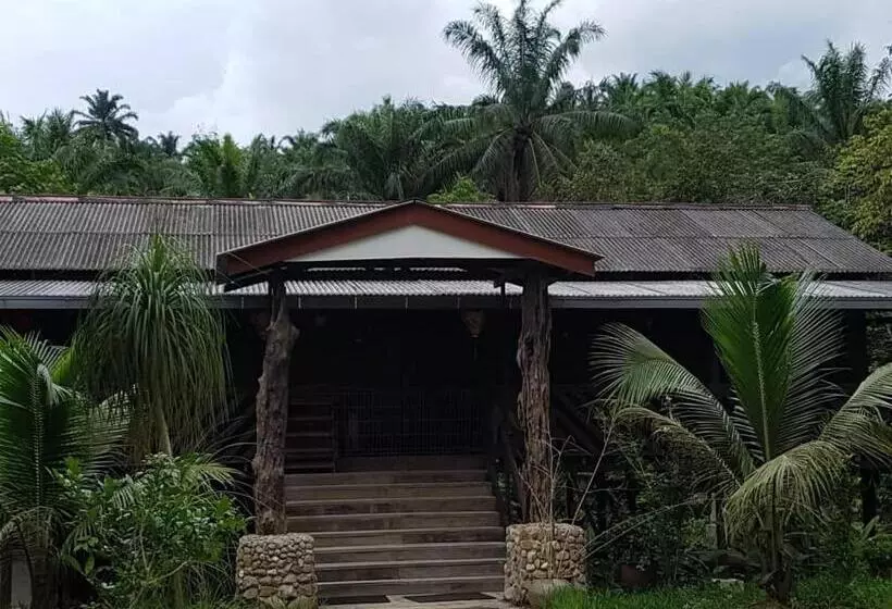 リゾートホテル Rockforest Chalet