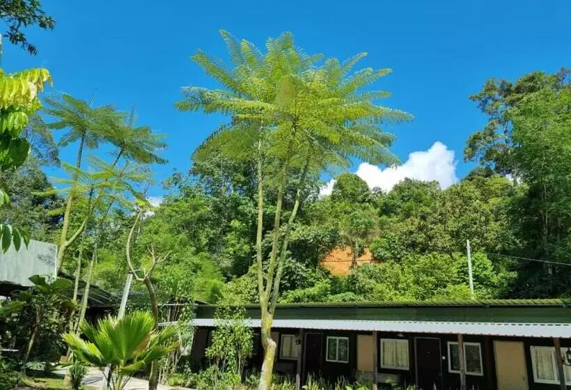 リゾートホテル Rockforest Chalet