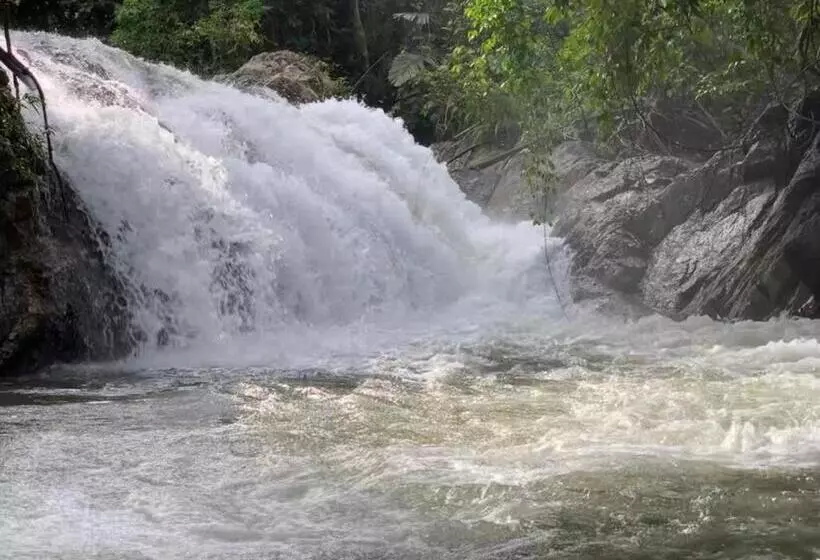リゾートホテル Rockforest Chalet