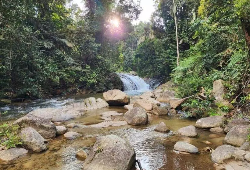 リゾートホテル Rockforest Chalet