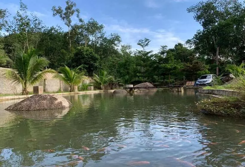 リゾートホテル Rockforest Chalet