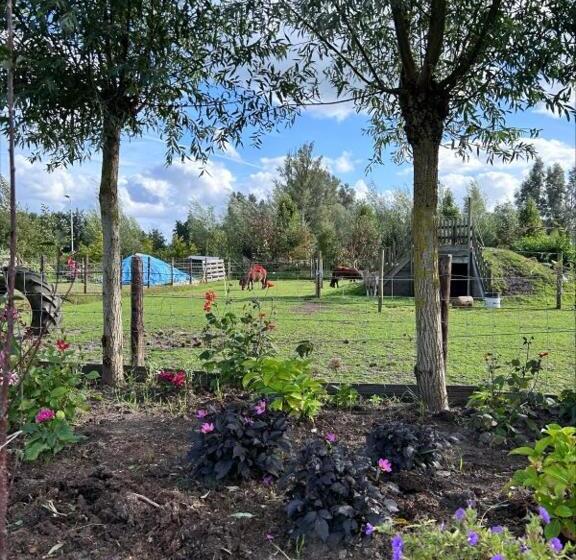 Bed and Breakfast Bed En Brochje De Oase