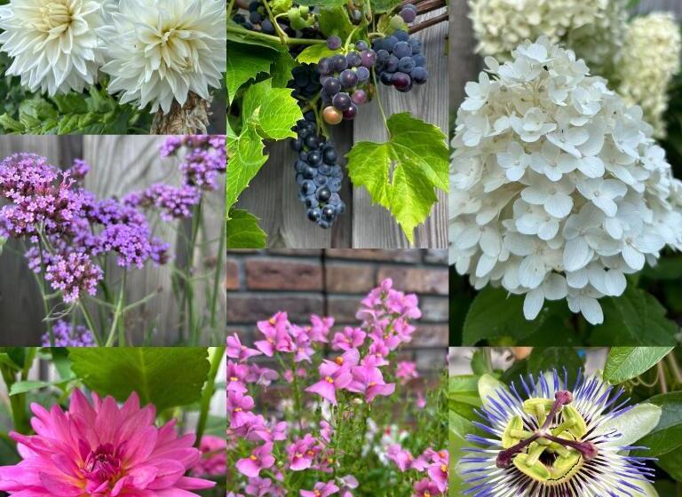 Bed and Breakfast Bed En Brochje De Oase