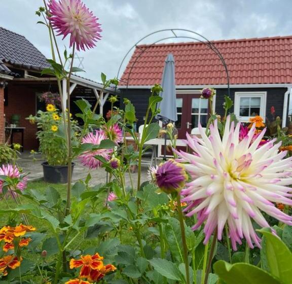 Bed and Breakfast Bed En Brochje De Oase