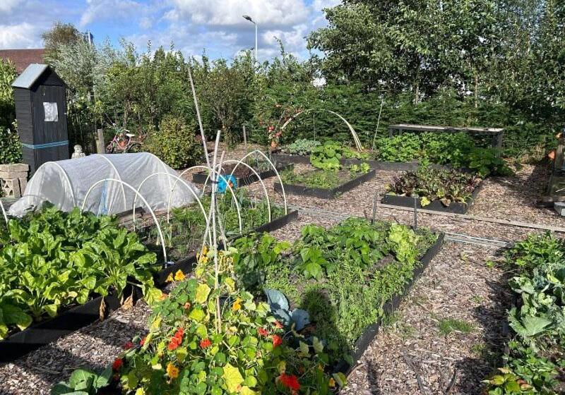 Bed and Breakfast Bed En Brochje De Oase