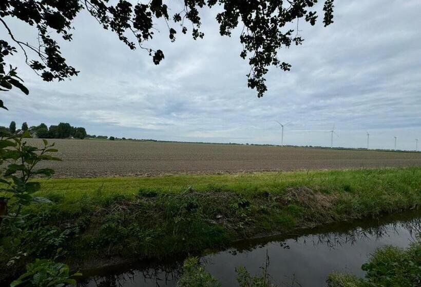 ベッドアンドブレックファースト Elefteria