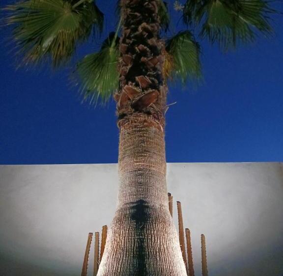 ベッドアンドブレックファースト La Paillote 69