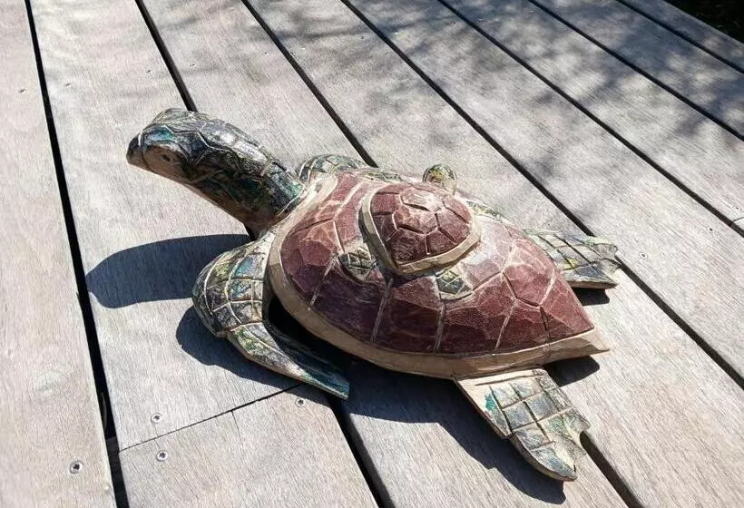 ベッドアンドブレックファースト La Paillote 69