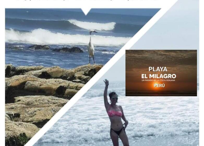 ホテル Mar Y Sol Playa El Milagro