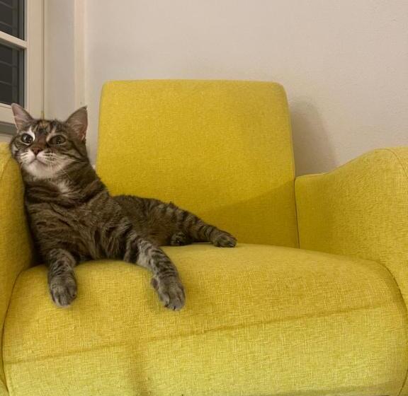 Il Lupo E Il Filosofo B&b