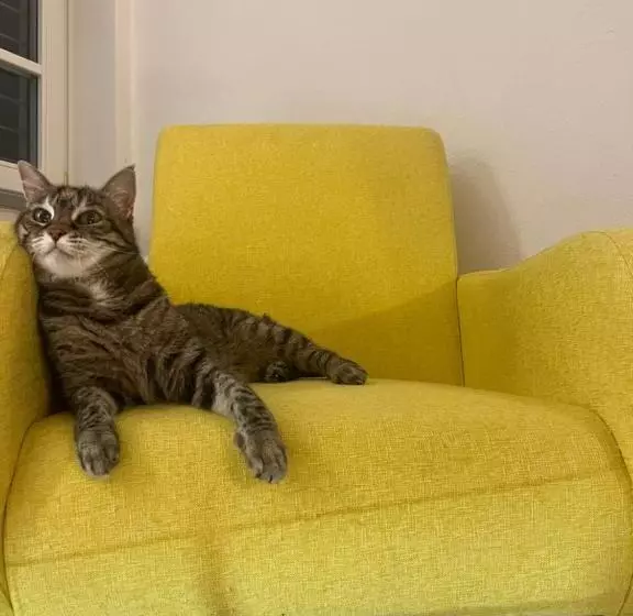 Il Lupo E Il Filosofo B&b