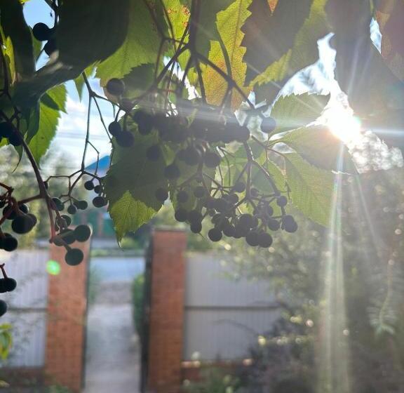 پانسیون сафр