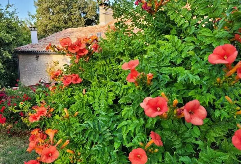 Aamiaismajoitus (B&B) Chez Berger, Ruime 2 Persoonskamer Met Kingsize Bed