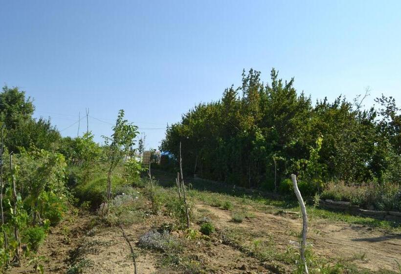 펜션 Camping & Guest House Murataj