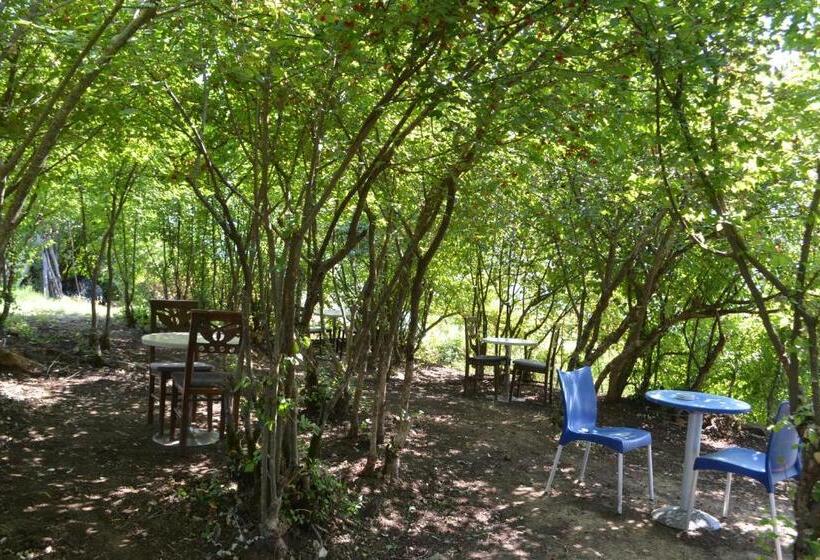 펜션 Camping & Guest House Murataj