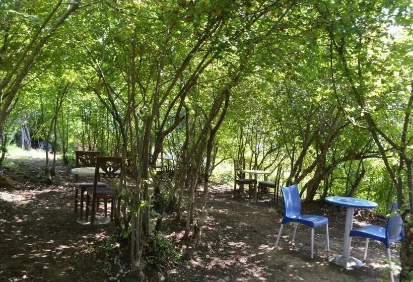 ペンション Camping & Guest House Murataj