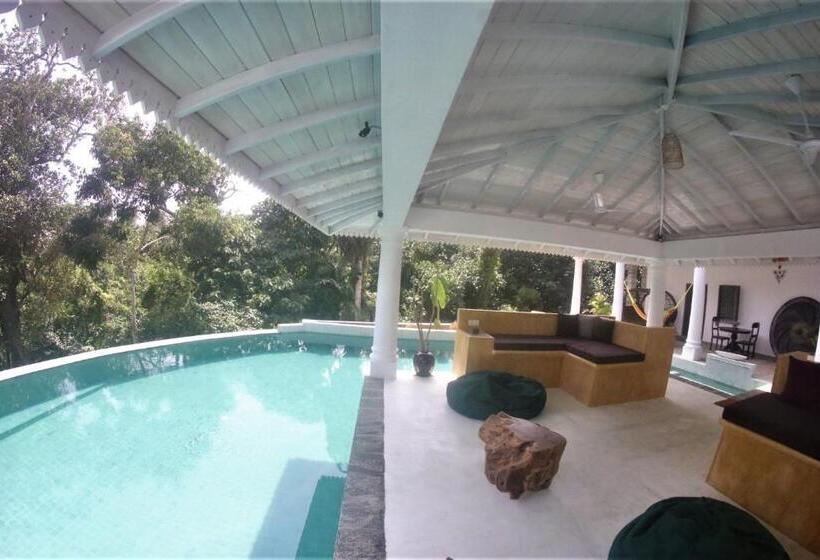 펜션 The Travellers Palm