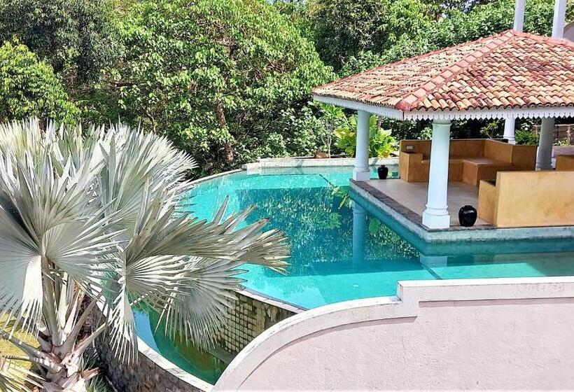 펜션 The Travellers Palm