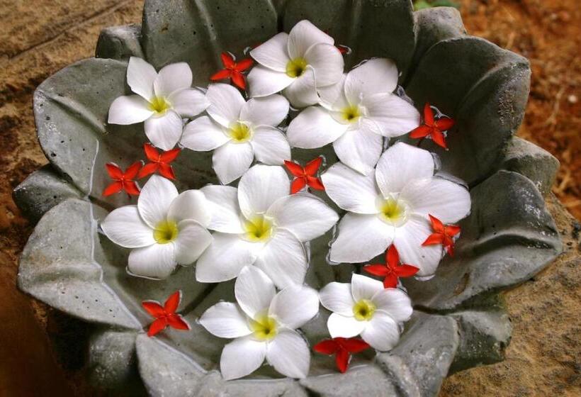 펜션 The Travellers Palm