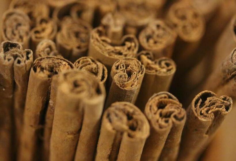 펜션 The Travellers Palm