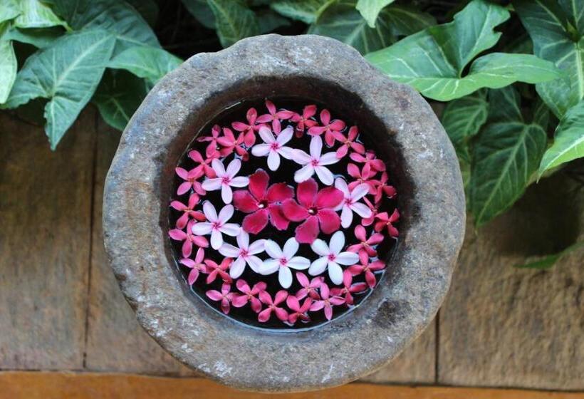 펜션 The Travellers Palm