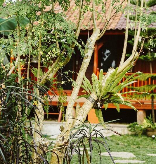 膳宿费 Teba One Cottages Ubud