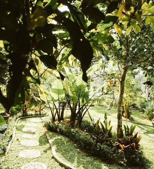 膳宿费 Teba One Cottages Ubud