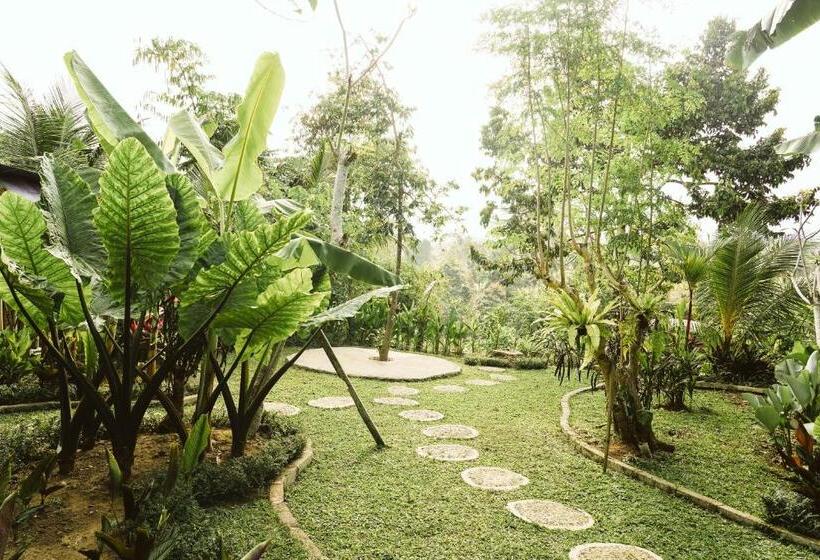 膳宿费 Teba One Cottages Ubud