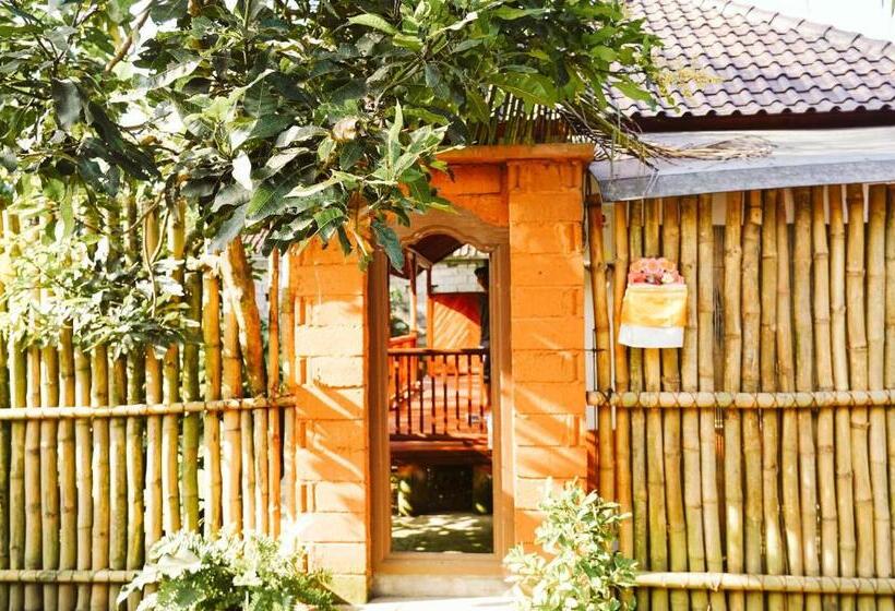 膳宿费 Teba One Cottages Ubud