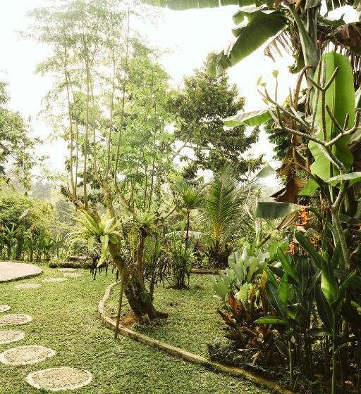 膳宿费 Teba One Cottages Ubud