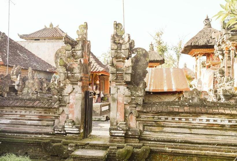 膳宿费 Teba One Cottages Ubud