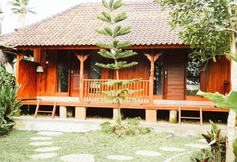 膳宿费 Teba One Cottages Ubud
