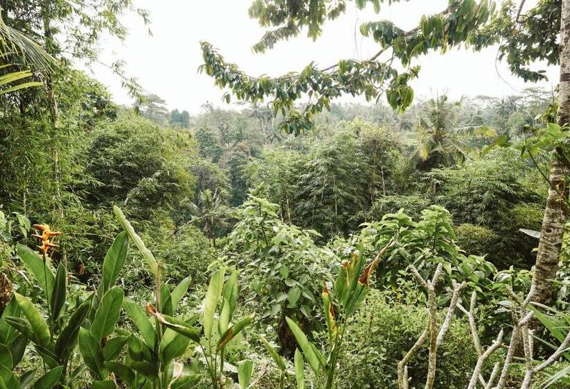 膳宿费 Teba One Cottages Ubud