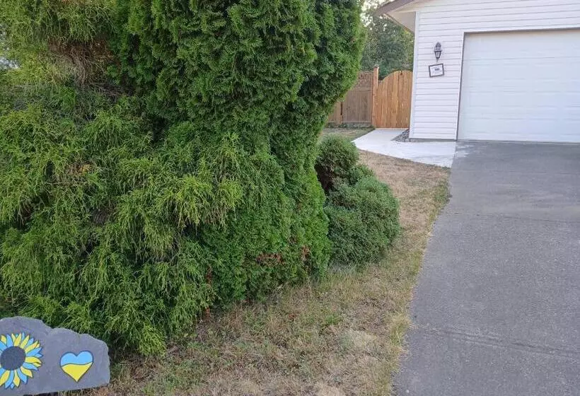 Serenity Bed And Breakfast