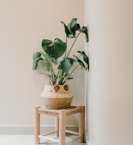 هتل La Villa Du Jardin