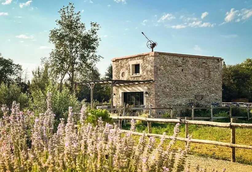 Majatalo Au Milieu Des Vignes