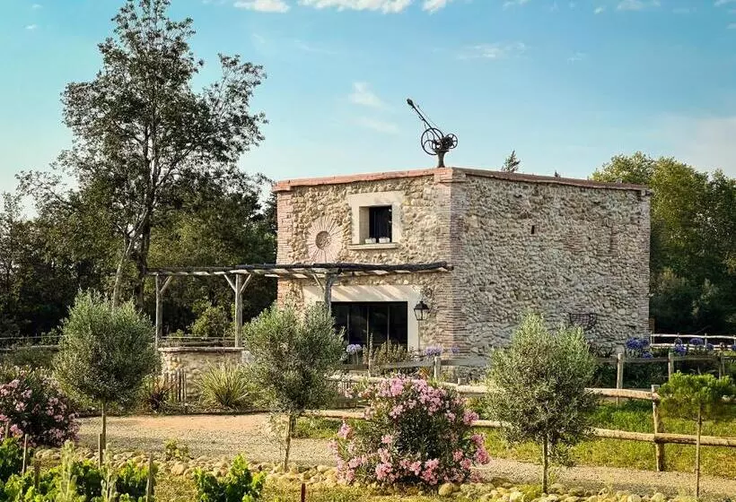 Majatalo Au Milieu Des Vignes