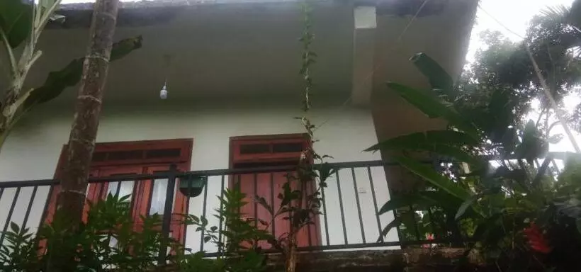 پانسیون Cavity Nest
