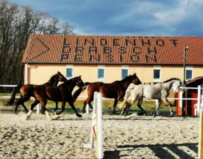 Pension Lindenhof Drabsch