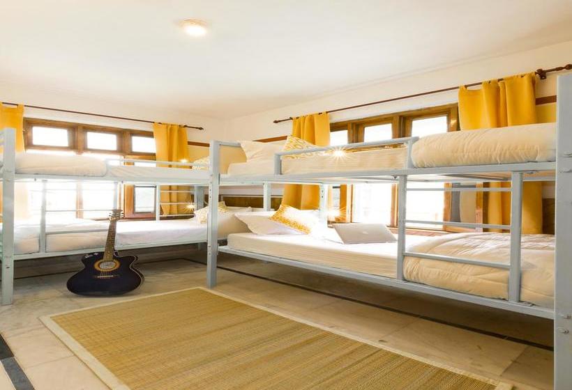 فندق صغير Zostel Dalhousie