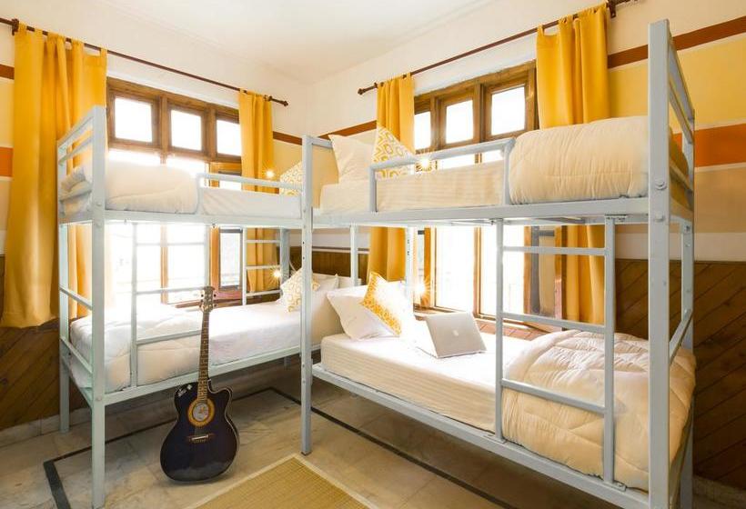 فندق صغير Zostel Dalhousie