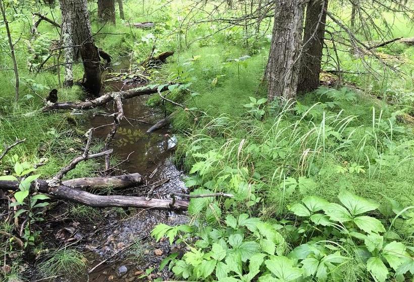 ベッドアンドブレックファースト Sleepy Creek Country Manor