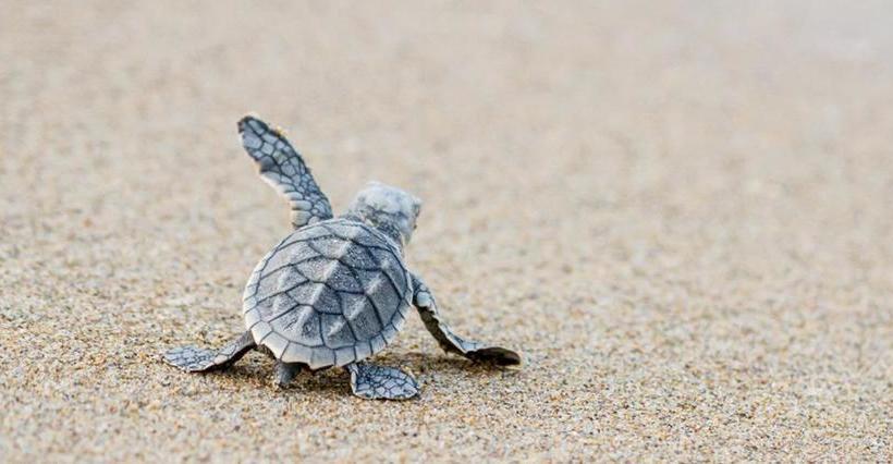 Bed and Breakfast B&r Hostel Nagtabon