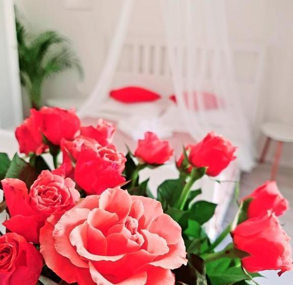 مُتل Argö Costinești