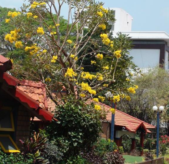 استراحتگاه The Village