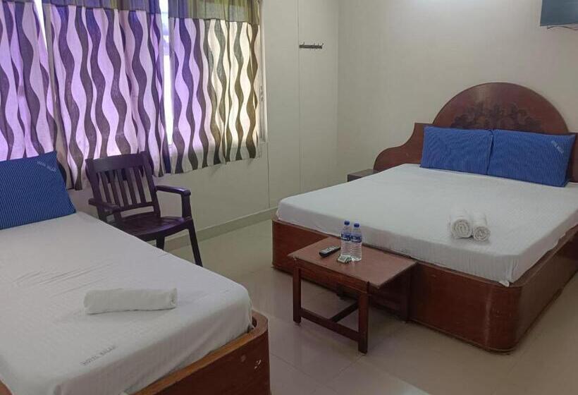 Albergue Sree Balaji Hotel   Lodge